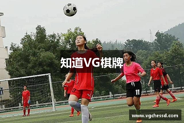 知道VG棋牌